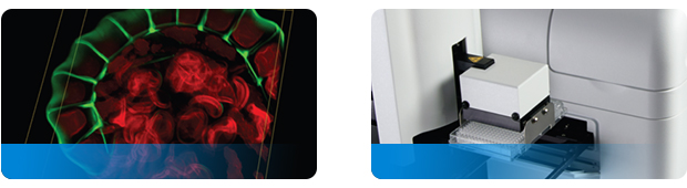 微孔板檢測與細胞分析解決方案 微孔板檢測與細胞分析解決方案