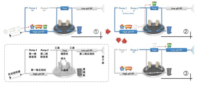 穩(wěn)定高效的納升二維分離技術(shù)——在線雙反相色譜