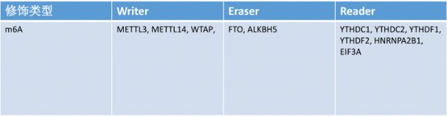 m6APøAϳɵ()/shRNA/siRNA 