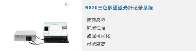 ȽPОоKORsʺ˵˵ͶPϵ