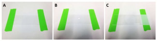 線蟲顯微注射如何操作?超詳細實驗步驟快來碼住