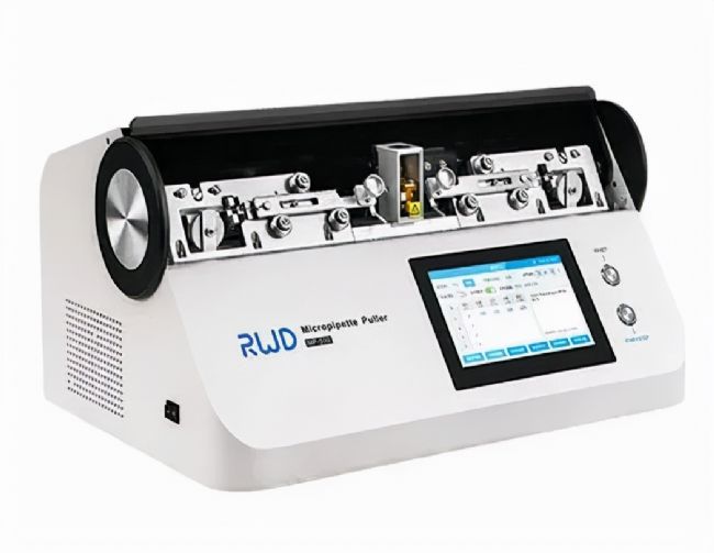 線蟲顯微注射如何操作?超詳細實驗步驟快來碼住