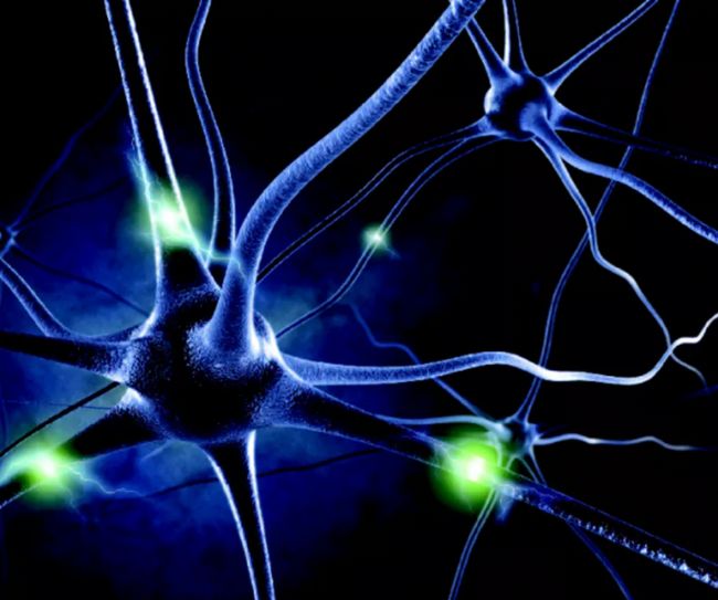 光纖記錄詳解,一文帶你詳細了解光纖記錄實驗