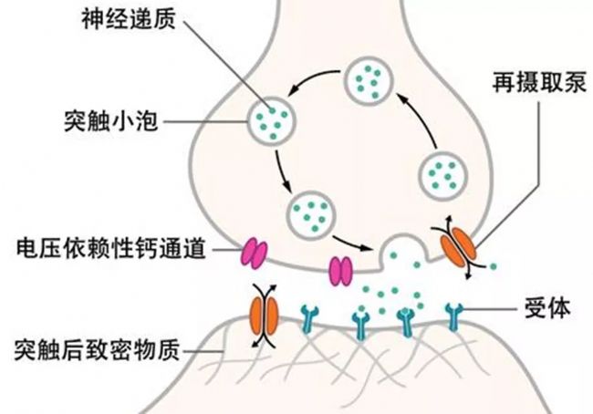 光纖記錄詳解,一文帶你詳細了解光纖記錄實驗