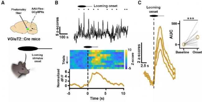 光纖記錄詳解,一文帶你詳細了解光纖記錄實驗