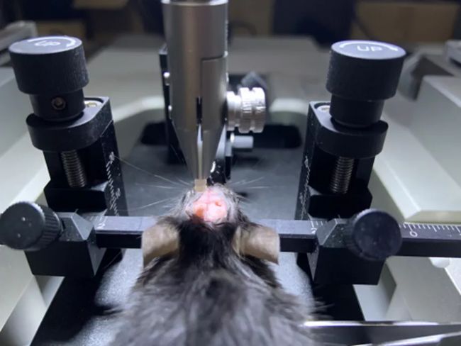 光纖記錄詳解,一文帶你詳細了解光纖記錄實驗