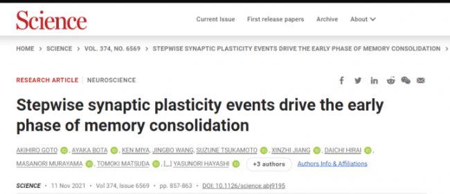 【Science文章】連記憶都能夠被操控了!?-滔博生物
