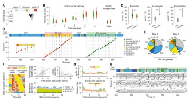 СڌWО顢ĿˌОrBLA PNsCa2+-ϲ
