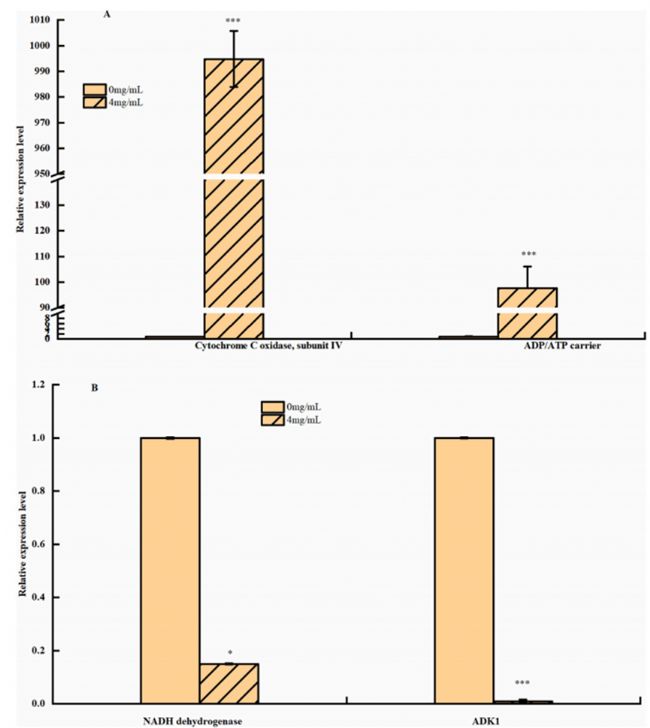 1. 4mg/mLPLA̎McսMǽͽ⡢ѭhữ
