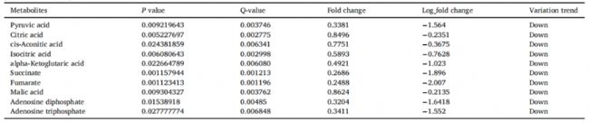 2. 4mg/mLPLA̎McսMǽͽ⡢ѭhữ
