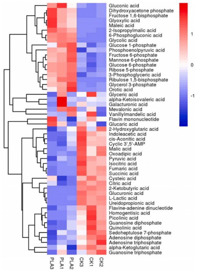 D6. ̼xaڌսMPLA̎M֮gĲ