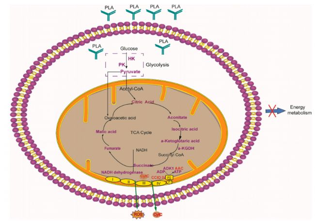 D8. PLAƵĿܙCǻxɫp٣