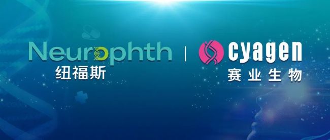 近日,賽業生物與紐福斯生物科技有限公司(以下簡稱“紐福斯”)就共同開發眼科AAV基因治療載體達成共識,宣布正式確立戰略合作伙伴關系。此次合作旨在結合賽業生物專業的基因治療AI高通量AAV衣殼進化技術平臺優勢,以及紐福斯的眼科的衣殼驗證平臺,共同開發高效的眼科AAV衣殼,支持眼科治療產品的開發。 圖片 破解研發困局 打造國際領先的AAV基因治療平臺 賽業生物是一家基因治療綜合解決方案提供商,擁有AI高通量AAV衣殼進化技術平臺和相關專利技術;同時,以眼科疾病為突破口,集合國際知名的精細化小動物眼科儀器設備,資深的專業人才資源和豐富的基因編輯模型構建經驗,建立了標準化的眼科基因治療研究整體服務體系。 借助于成熟的AAV驗證和眼科基因治療產品研發生產平臺,紐福斯已建立豐富的眼科基因治療管線,包含針對Leber氏遺傳性視神經病變、常染色體顯性視神經萎縮、血管性視網膜病變等多個眼科罕見病和常見病在研項目。 在AAV眼科基因治療的藥物開發上,賽業生物與紐福斯具有廣闊的合作空間和巨大的發展潛能,雙方將整合資源優勢,加大技術與資金投入,開發高效的眼科AAV衣殼,解決行業瓶頸,有的放矢地推動眼科基因治療從實驗室走向產業化。本次達成的全球戰略合作的總商業價值超過10億元。 達成深度合作 惠及全球遺傳性眼科疾病患者 賽業生物董事長韓藍青先生表示,“基因治療技術憑借著政策引領、資本加持,在眼科疾病領域釋放出了強大的創新潛力,且正以一種大家都始料未及的速度搶占市場。我們可以看到,紐福斯專注建設眼科疾病的體內基因治療平臺,致力于將技術成果推進到臨床階段這一點更是難能可貴。在當前行業飛速發展的拐點,賽業生物有堅定的決心和信心,與紐福斯攜手并進,共同服務于AAV基因治療研發,將安全性好、穩定性高的藥物帶給全世界的眼科疾病患者。” 紐福斯董事長李斌教授提到,“眼健康工作已成為國家戰略目標。在遺傳性眼科疾病的治療手段中,基因治療是未來主要的治療方法。紐福斯希望尋求志同道合的伙伴一起努力,以期在新藥研發和生產上取得突破性成就。賽業生物作為基因治療行業的有生力量,正是我們未來前進道路上的理想的同行者。” 關于賽業 賽業生物成立于2006年,是一家以數據、算法和模型加速新藥研發的創新型CRO企業。賽業生物以動物模型為依托,結合對人工智能的深度探索,在基因編輯動物模型領域走在行業前沿,從動物模型資源庫、模型定制、飼養繁育、無菌鼠技術服務到表型功能驗證,全方位智能化滿足客戶在基礎研究和新藥研發領域動物模型需求。同時,賽業生物不斷豐富產品線,強化數據和模型優勢,前瞻性布局基因治療與細胞治療領域,結合靶點預測與驗證平臺、病毒載體研制平臺、評價模型構建平臺和有效性評價平臺,在賽道轉換中再次騰飛。 賽業生物目前員工人數超900名,總規模超40000平方米,在中國廣州、蘇州、固安設立有全資子公司,在成都、北京、上海、武漢、長沙等地設有辦事處,在美國Santa Clara和日本東京設有子公司。賽業生物已和全球100多個國家和地區的科學家及企事業單位建立了廣泛的合作,產品與技術已直接應用于包括CNS(Cell, Nature, Science)三大期刊在內的6300余篇學術論文。秉承著為生物科技創造無限可能的企業愿景,賽業生物愿與全球醫藥研發人員共拓美好未來! 關于紐福斯 紐福斯是中國專注于眼科疾病的體內基因治療行業領導者。紐福斯在武漢、蘇州、上海和美國圣地亞哥設有子公司,致力為全球患者研發針對遺傳疾病的基因療法。研究者發起的視網膜疾病基因治療研究的試驗數據成功地驗證了我們使用的AAV平臺,研究結果已經發表在Nature-Scientific Report、Ophthalmology和Ebio Medicine上。 紐福斯的核心產品NR082(NFS-01),旨在治療ND4介導的萊伯氏遺傳性視神經病變(ND4-LHON),已被美國FDA和歐洲藥品管理局(EMA)授予孤兒藥稱號(ODD),是首個同時獲得中國NMPA及美國FDA授予的臨床試驗IND許可的中國籍基因治療新藥。目前已基于I/II期臨床試驗數據與CDE就III期臨床方案達成一致意見。公司管線還包括ND1介導的LHON(公司第二款美國FDA授予ODD稱號新藥)、常染色體顯性視神經萎縮、視神經保護、血管性視網膜病變等臨床前候選藥物。紐福斯已啟動蘇州工廠的內部生產擴能,以支持未來的商業需求。