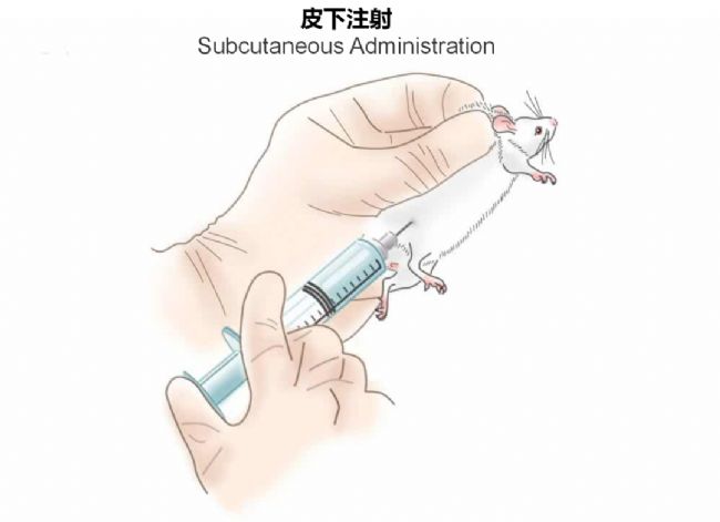 神經(jīng)疾病CRO