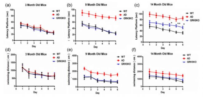 水迷宮行為實驗