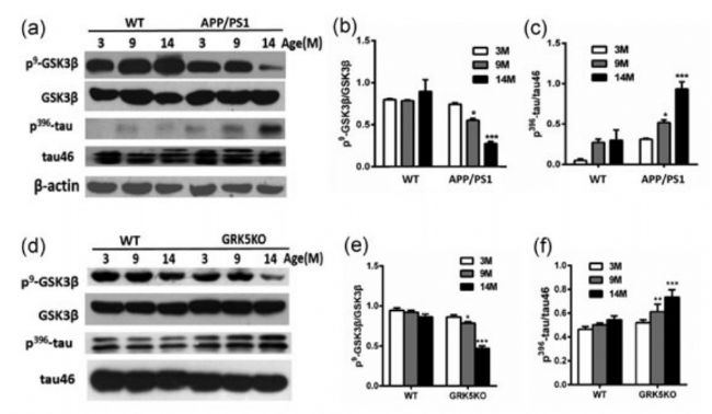 神經(jīng)藥效評價
