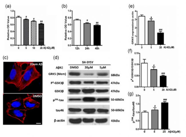 神經(jīng)藥效評價