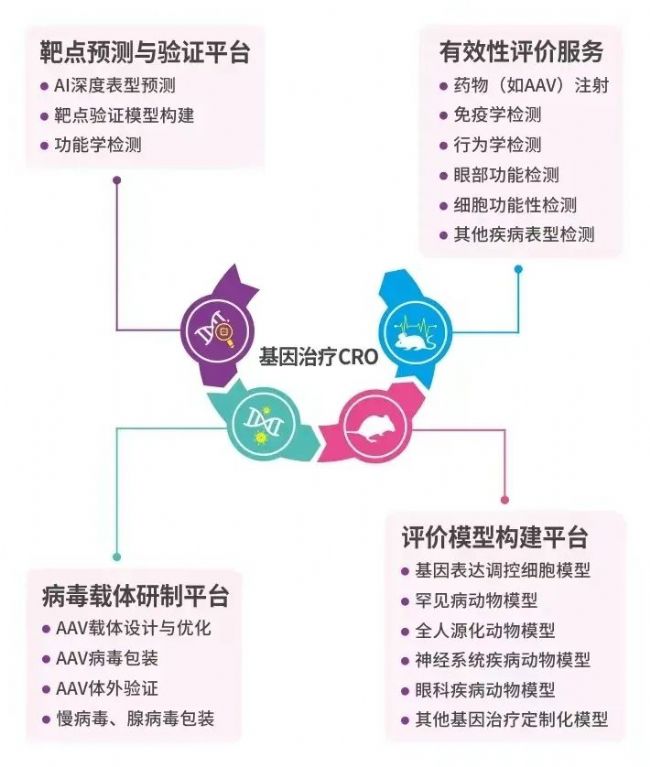 基因治療藥物篩選平臺(tái)