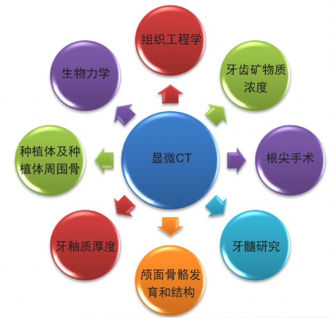 顯微 CT 在牙科中的應用