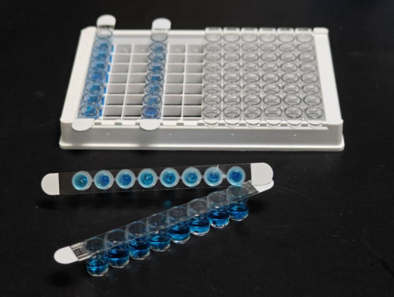 天津本生 封板膜