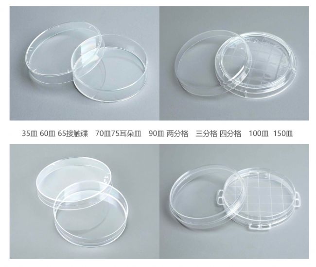 培養皿 塑料培養皿 玻璃培養皿 天津本生