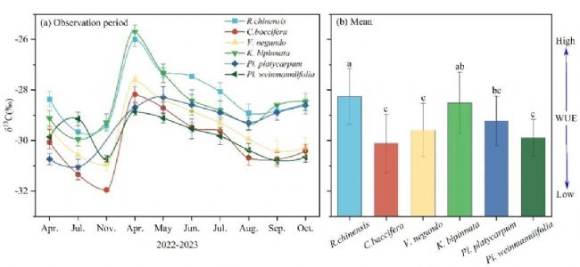 LI-2100在喀斯特石漠化地區植物水分利用研究中的應用 理加聯合-市場部 理加聯合