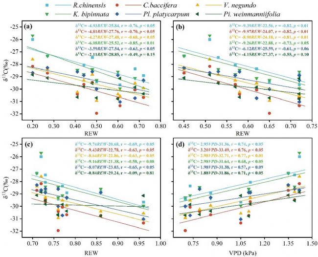 LI-2100在喀斯特石漠化地區植物水分利用研究中的應用