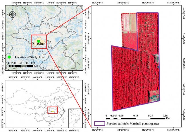 300TC | Cd߹Vx޺ڗOy