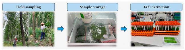 300TC | Cd߹Vx޺ڗOy