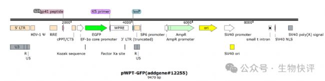 DÑ, ó AI ɵăݿܲ_