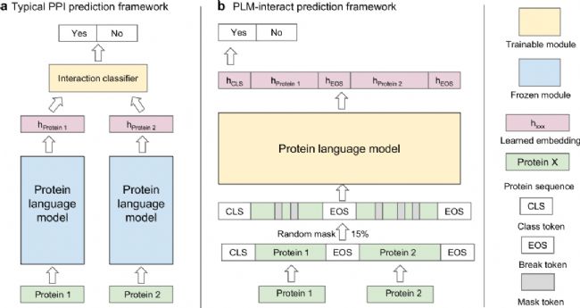 傳統“雙塔”框架 vs. PLM-interact 跨編碼框架示意