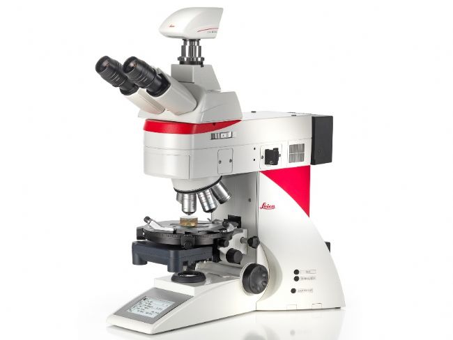 顯微課堂 | 偏振光顯微鏡影像圖集