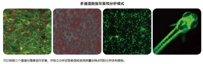 細(xì)胞成像系統(tǒng)