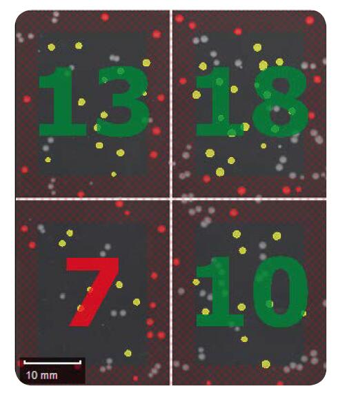 微生物篩選系統