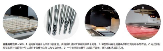 微生物篩選系統