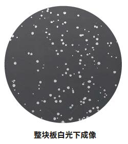 微生物篩選系統