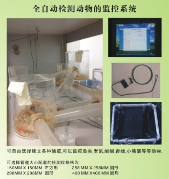 洪騰 動物行為監測系統