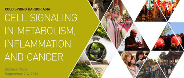代謝、炎癥及癌癥中的細(xì)胞信號(hào)傳導(dǎo)