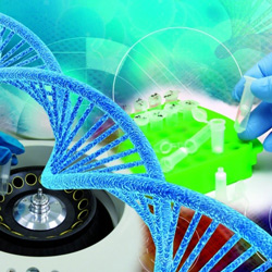 Porvair Sciences Ƴ Chromatrap ø׼ 10 Ⱦɫ|ƂıƄ;_Һ 