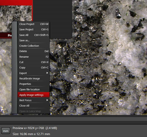 默瑞攜徠卡M165 C顯微鏡亮相動物實驗操作技術國際講習班