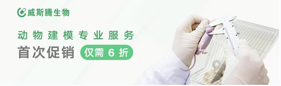 威斯騰動(dòng)物建模專業(yè)服務(wù)首次促銷6折優(yōu)惠