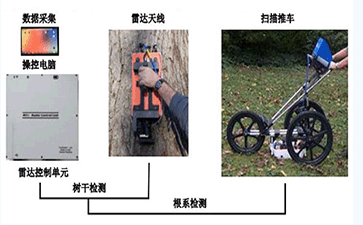 c(din)Ƽg(sh)ˆTֿԺYM(jn)TRUľ_(d)zy(c)ϵy(tng)Ӗ(xn)ָ(do)ʹ