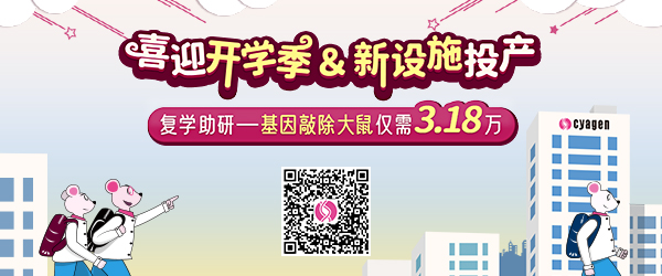 基因敲除大鼠優惠活動