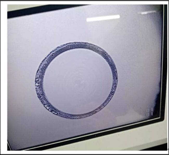 開年大促 | 陶瓷插針低至六折,超級省錢快來開搶吧