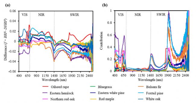 ASD | PROSPECTģȡ~ƬԠmо