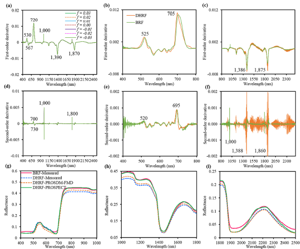 ASD | PROSPECTģȡ~ƬԠmо