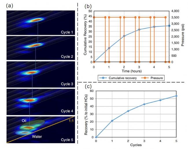 nÈ(bo)A(y)sκڣ͈(chng)˴Ź(y)rͲ߲ʼg(sh)оM(jn)չ