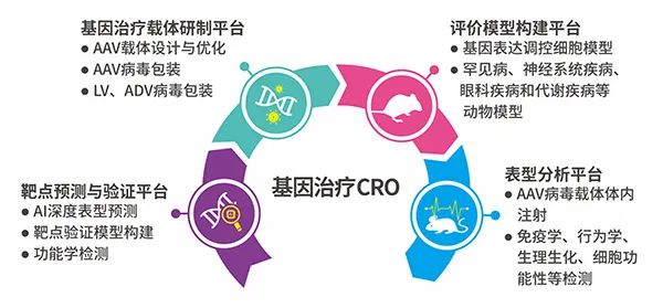 基因治療新靶點研究