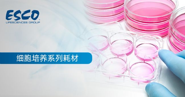 【新品推介】細胞培養系列耗材,你選對了嗎?