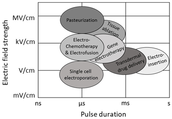 新型纳秒脉冲电场å‘生器,å¯å¹¿æ³›ç”¨äºŽç”Ÿç‰©åŒ»å¦å’Œç”Ÿç‰©æŠæœ¯é¢†åŸŸï¼